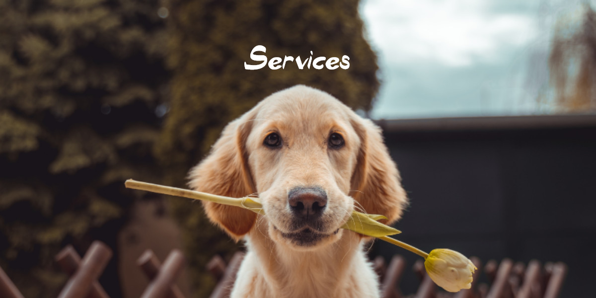 pet waste removal services