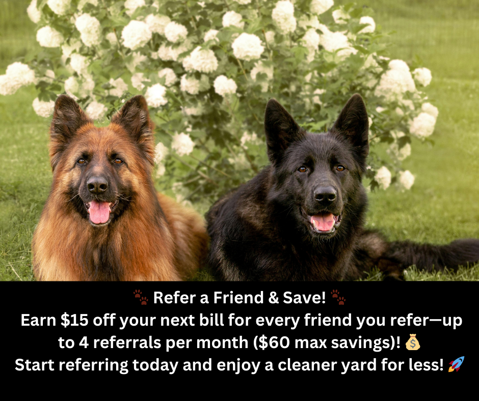 Refer and save up to $60 a month